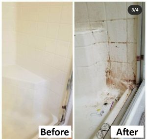 House Bathtub Cleaning Services Chicago